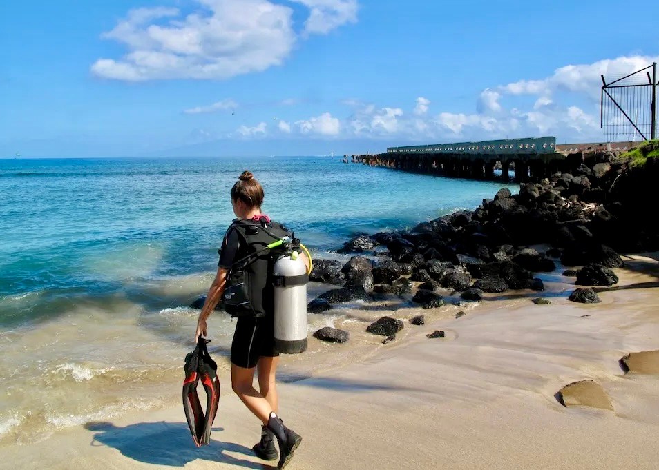 Scuba diver carrying fins toward the water beside the rocky shoreline and pier at Mala Wharf in Lahaina.