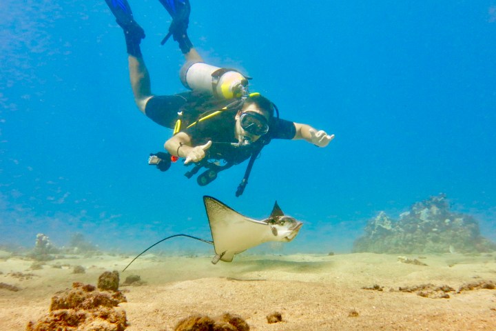 Scuba diver swimming above a ray as it glides over the sandy ocean floor.