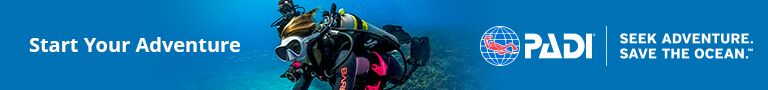 PADI scuba certification courses to start your adventure.