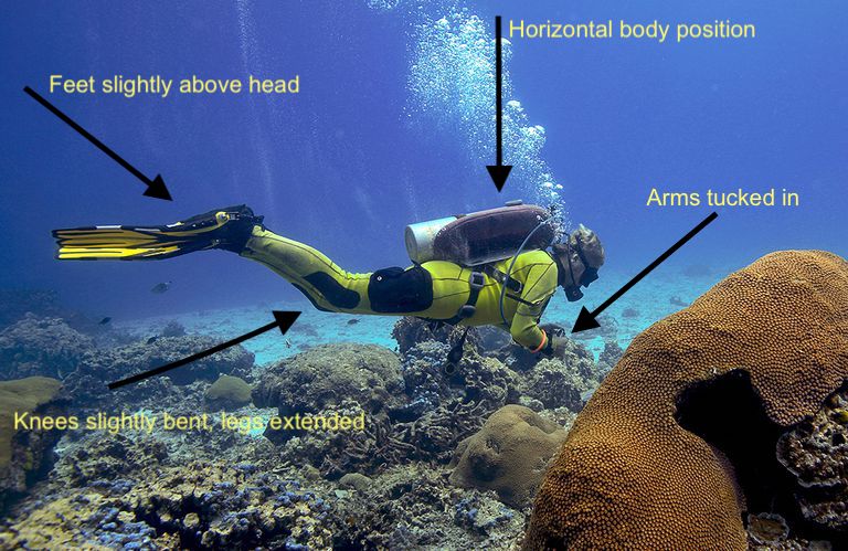 Maui Scuba Diving Buoyancy Control Professional Maui scuba diving buoyancy control like a professional.