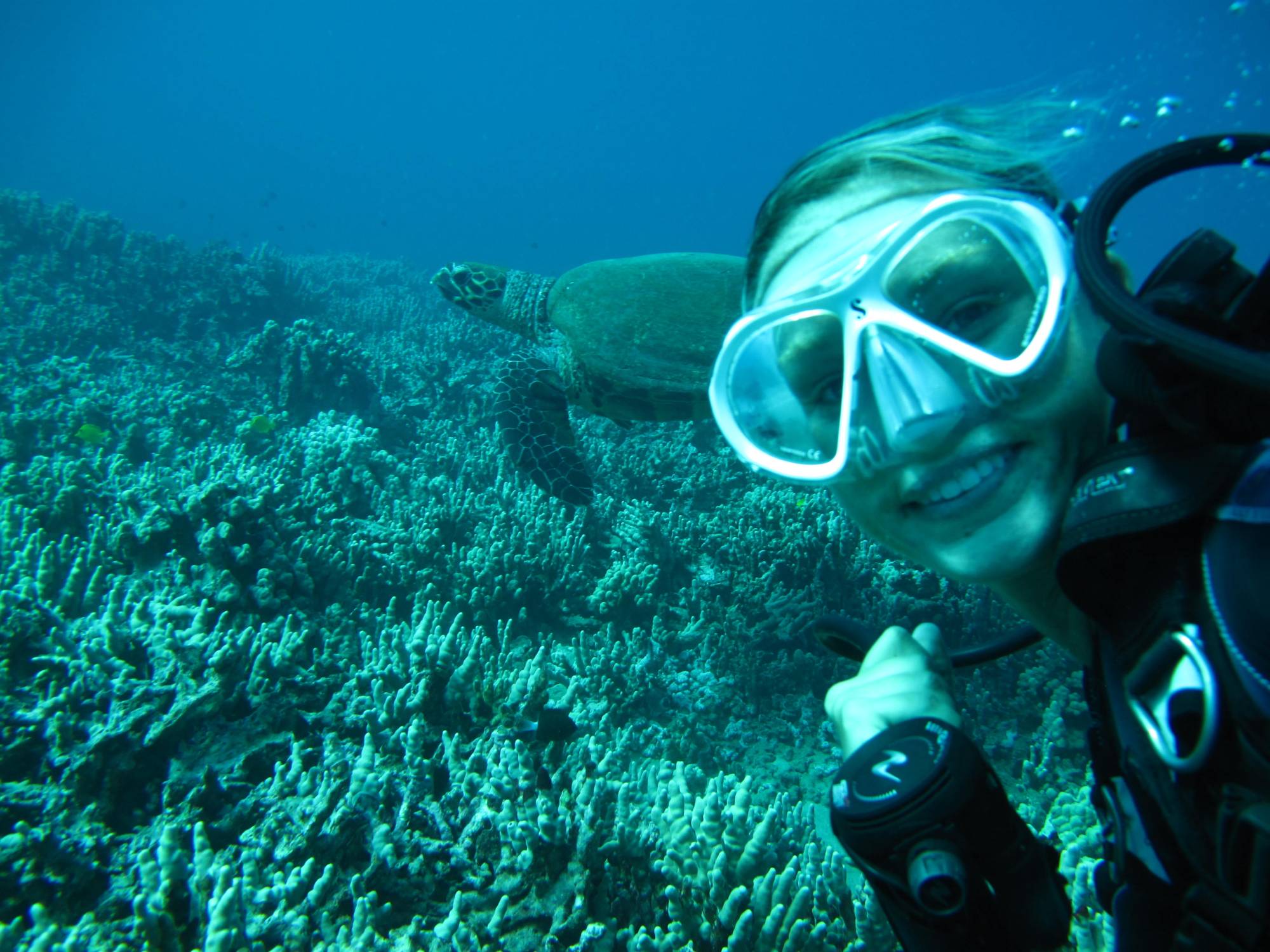 Proper Fitting Scuba Mask Maui diver has a proper fitting scuba diving mask to see turtles.