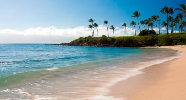 Alternative Text Turquoise water along the sandy shore of Kapalua Bay, with palm trees lining the rocky point in West Maui.