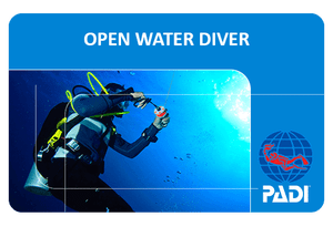 PADI open water diver card for a Maui scuba diving certification course.