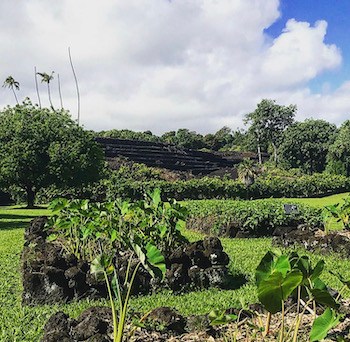 Tropical plants and stone features at Kahanu Garden in Hāna, Maui.