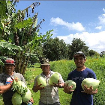 Mahele Farm workers holding fresh coconuts on a farm in Hāna, Maui.