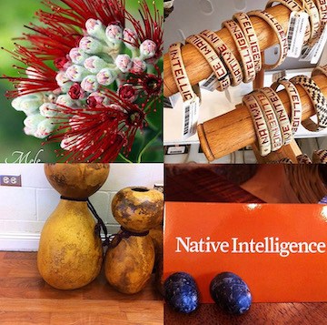 Native Intelligence collage featuring Hawaiian lei, gourds, handcrafted items, and store branding.